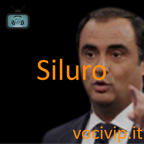 Siluro