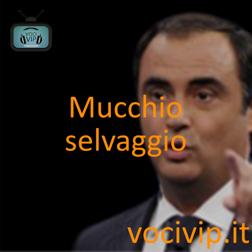 Mucchio selvaggio