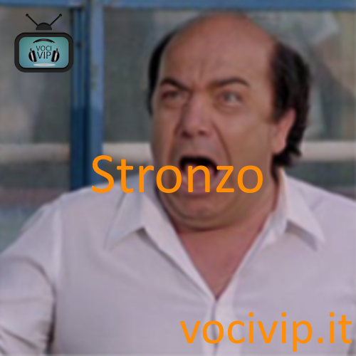 Stronzo