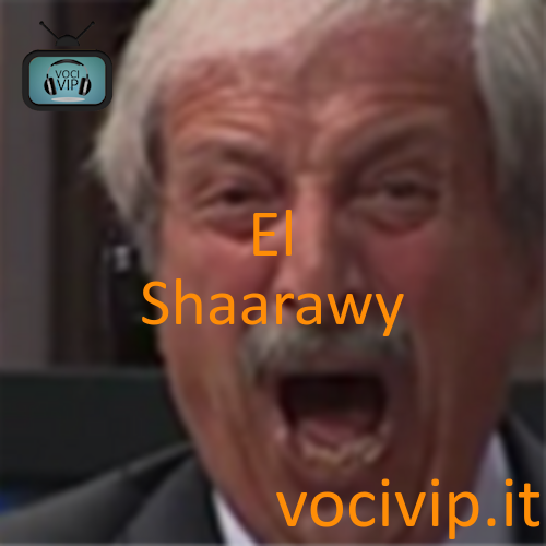 El Shaarawy