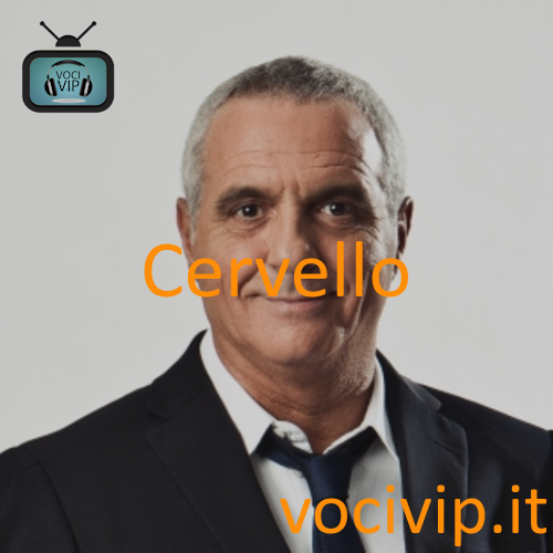 Cervello