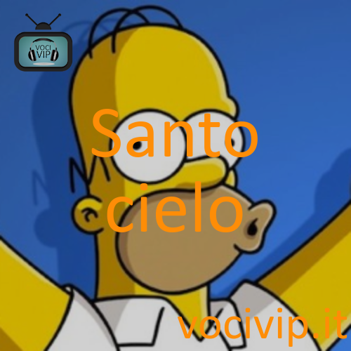 Santo cielo