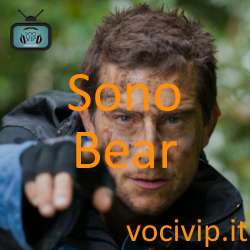 Sono Bear