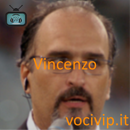 Vincenzo