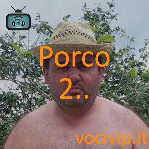 Porco 2..