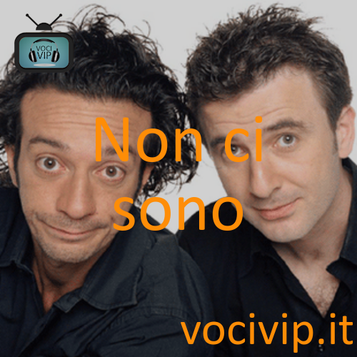 Non ci sono