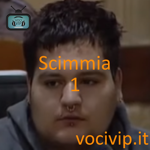 Scimmia 1