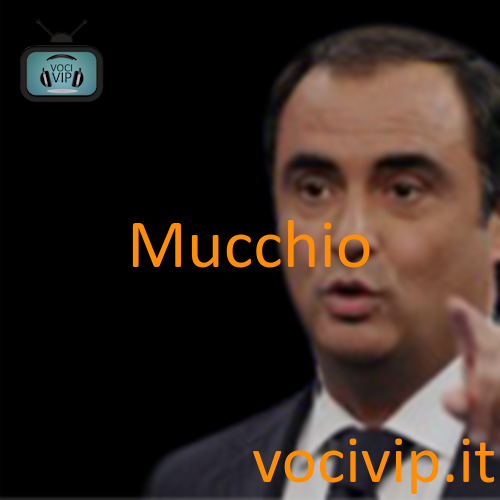 Mucchio